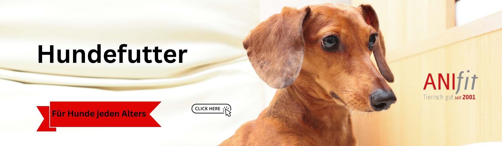 Hundefutter